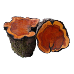 Rondin de bois de Cade diamètre environ 150mm long 200mm 
RUPTURE DE STOCK