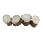 Section en bois d'Elan 30 mm Ø 25/30 mm