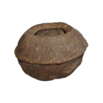 Noix de Sapucaja  (la pièce)
( <b>Rupture de stock</b>)
