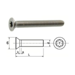 Vis métaux inox A2 tête fraisée Torx M 2x10 TX6 en sachet de 25