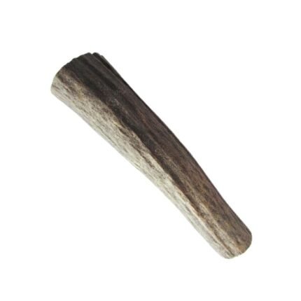 Cylindre en bois d'Elan 20/25 x 110 mm